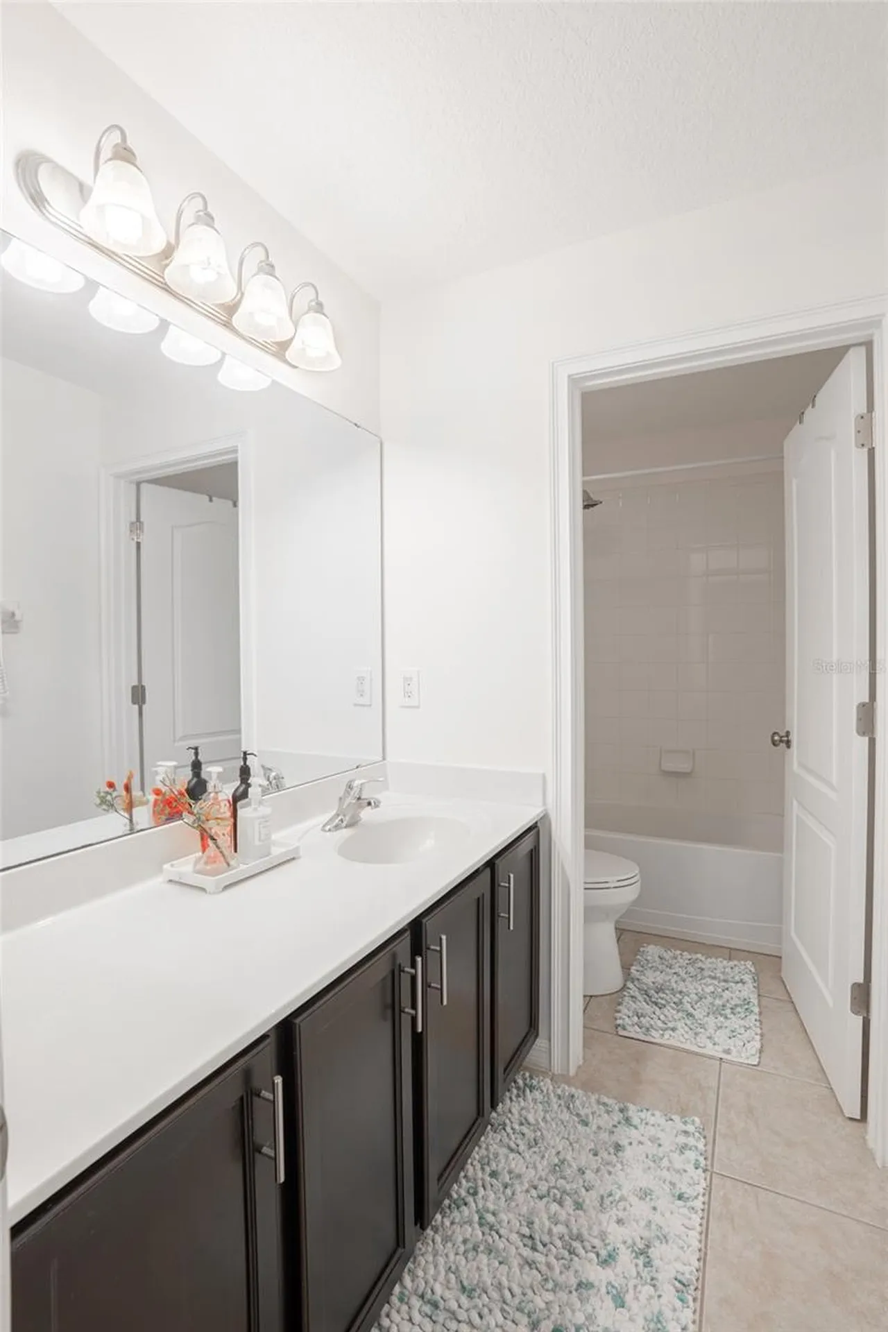 360 Hope Bay Loop Apollo Beach FL 33572