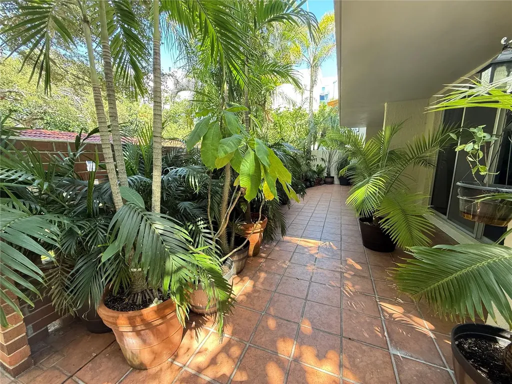 1012 Pearce Drive Clearwater FL 33764