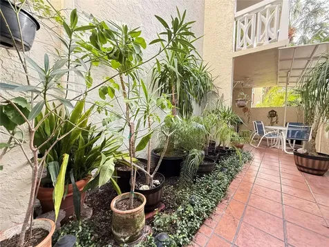 1012 Pearce Drive Clearwater FL 33764