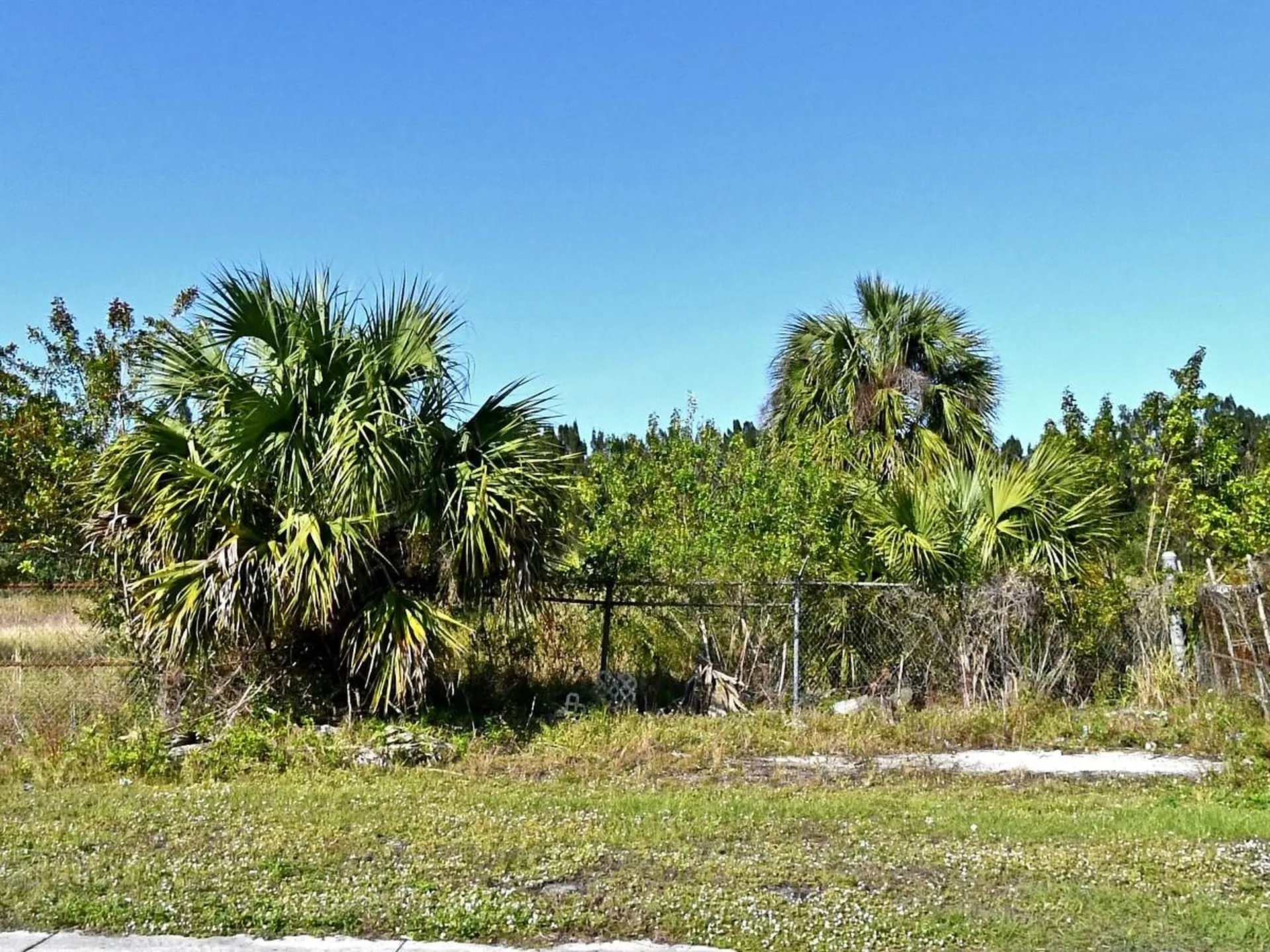 3214 Avenue D Fort Pierce FL 34947