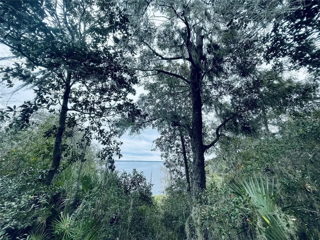 Tbd NE 245th Street Road Fort Mc Coy FL 32134
