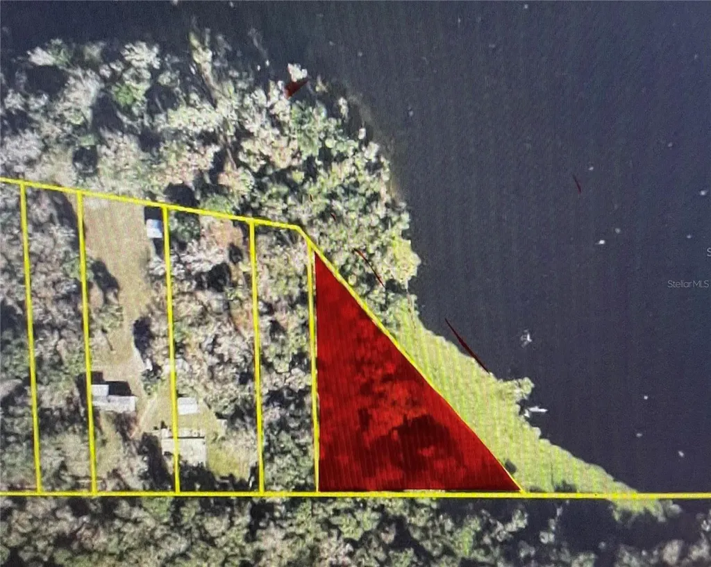 Tbd NE 245th Street Road Fort Mc Coy FL 32134
