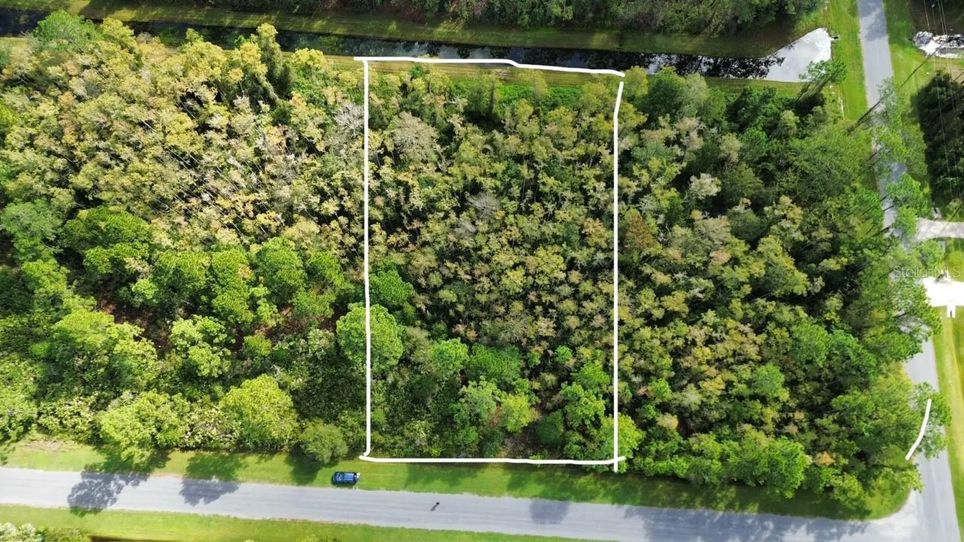 Bassett Avenue Orlando FL 32833
