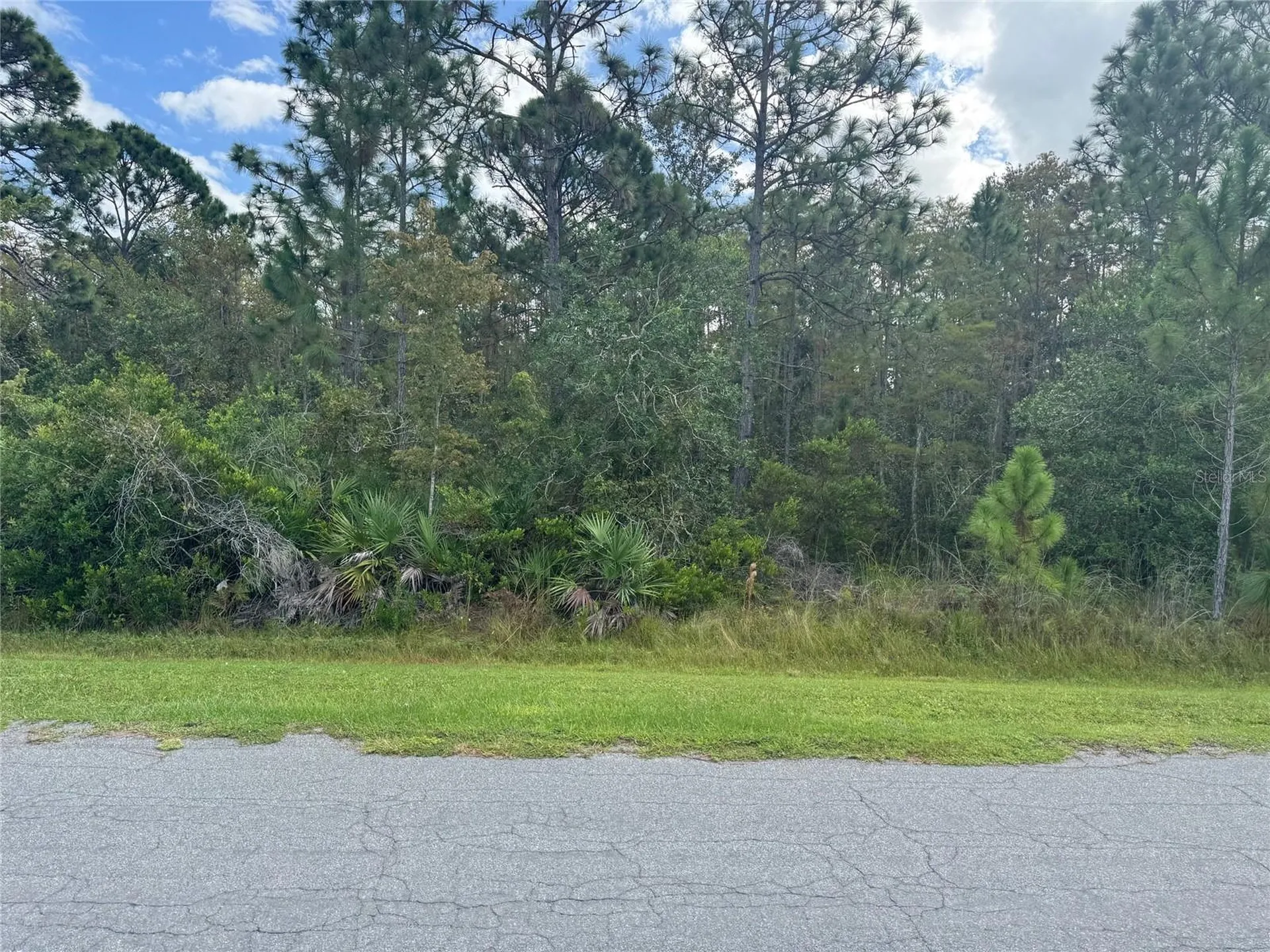 Bassett Avenue Orlando FL 32833