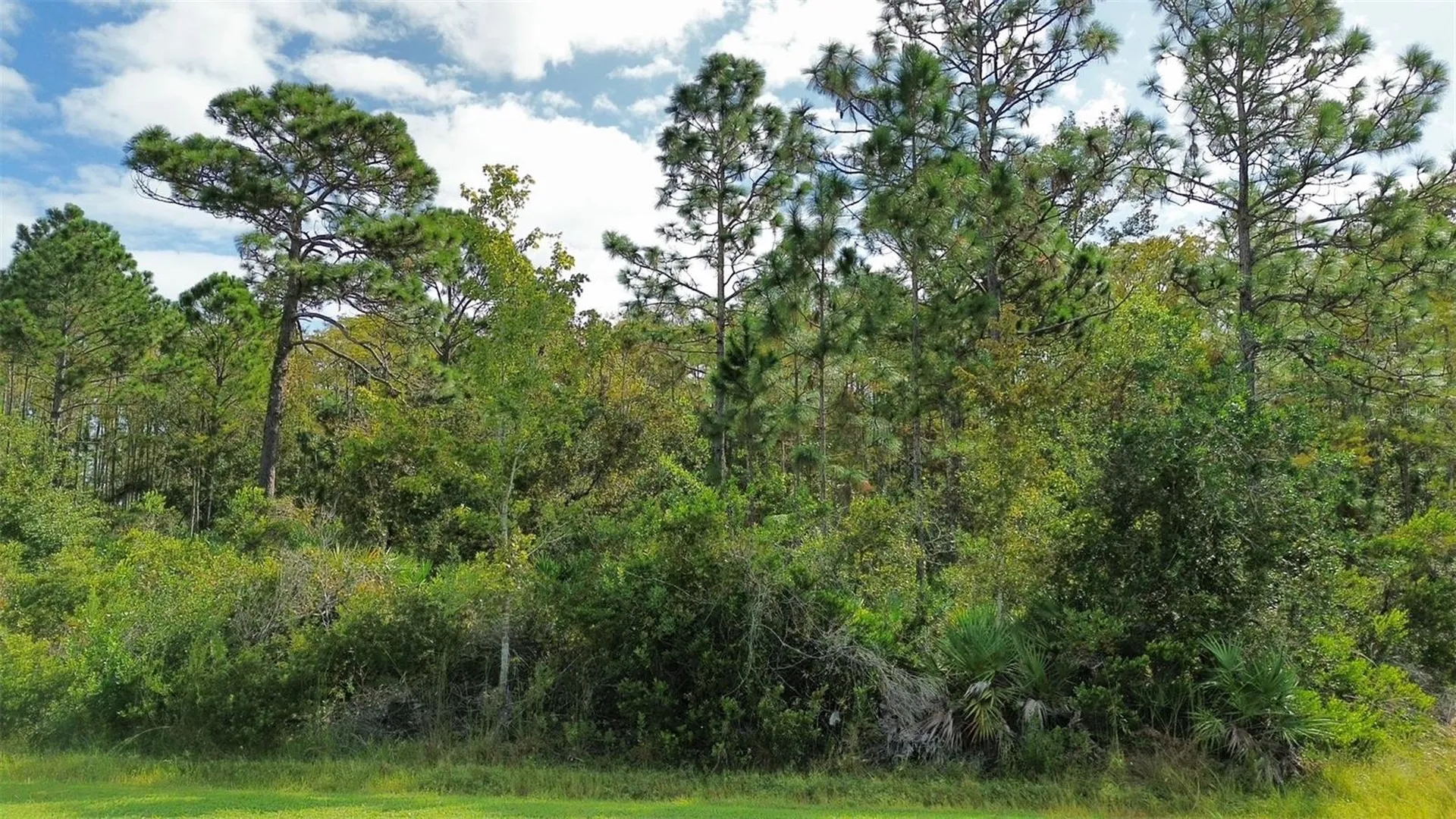 Bassett Avenue Orlando FL 32833