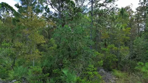 Bassett Avenue Orlando FL 32833