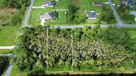Bassett Avenue Orlando FL 32833