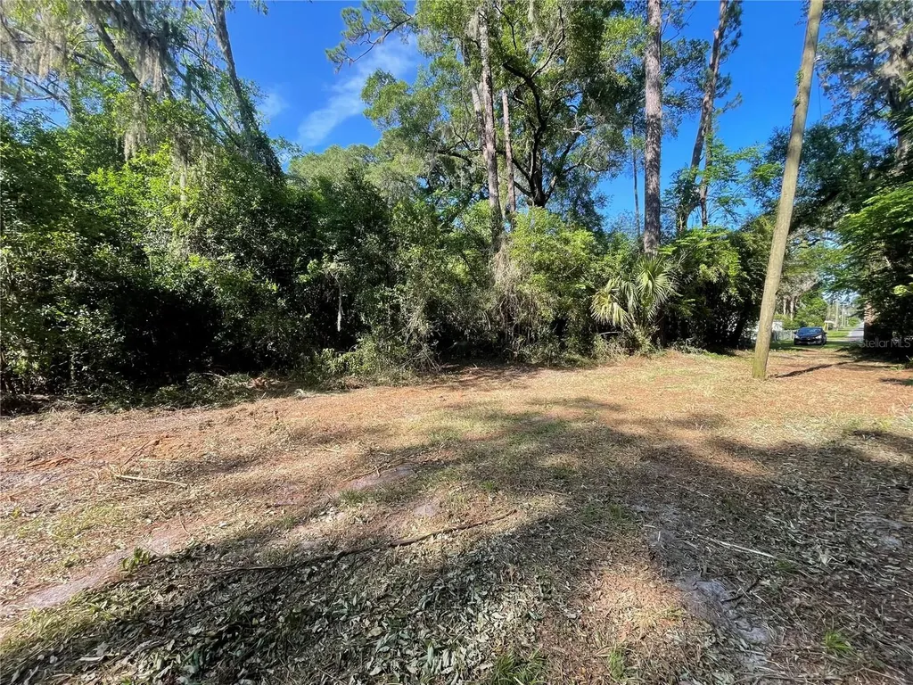 521 NE 31st Street Ocala FL 34479