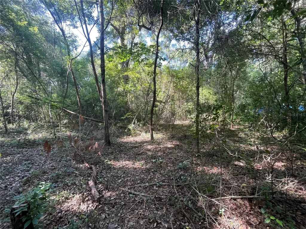 521 NE 31st Street Ocala FL 34479