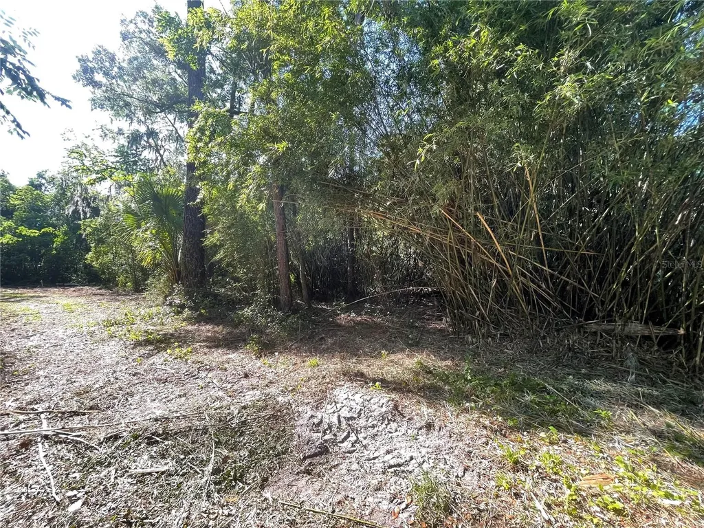 521 NE 31st Street Ocala FL 34479