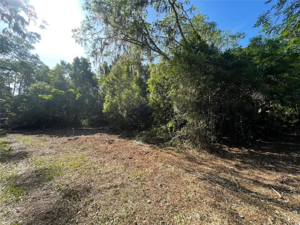 521 NE 31st Street Ocala FL 34479