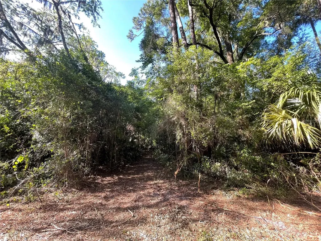 521 NE 31st Street Ocala FL 34479