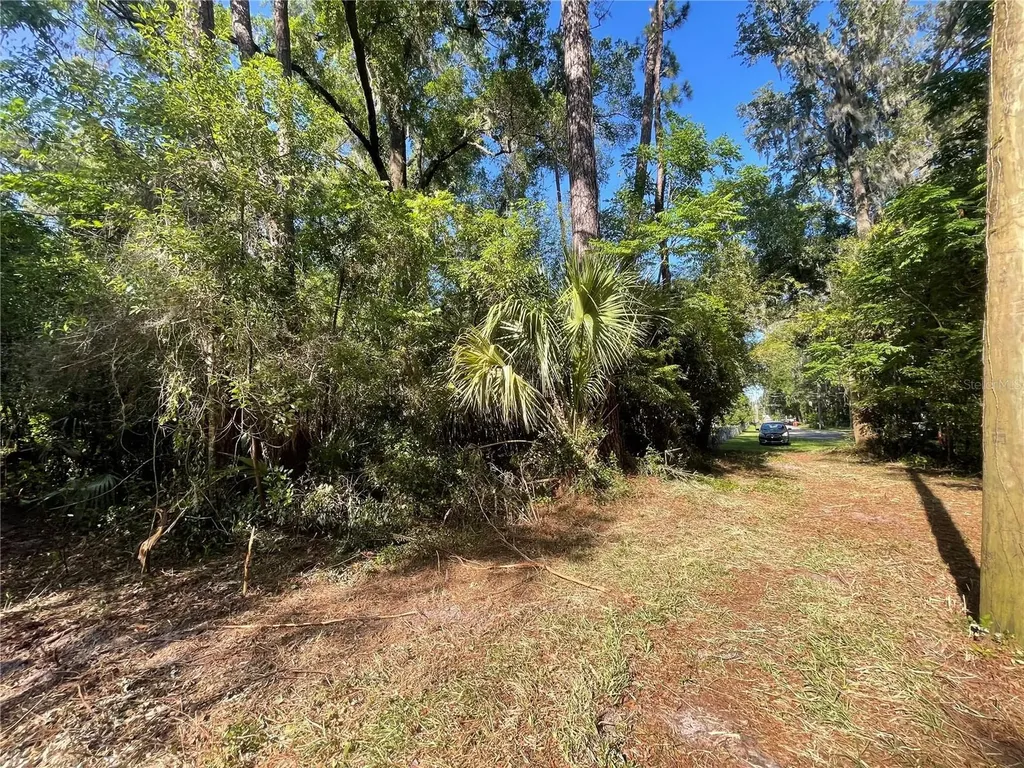 521 NE 31st Street Ocala FL 34479