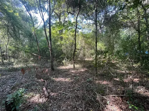 521 NE 31st Street Ocala FL 34479