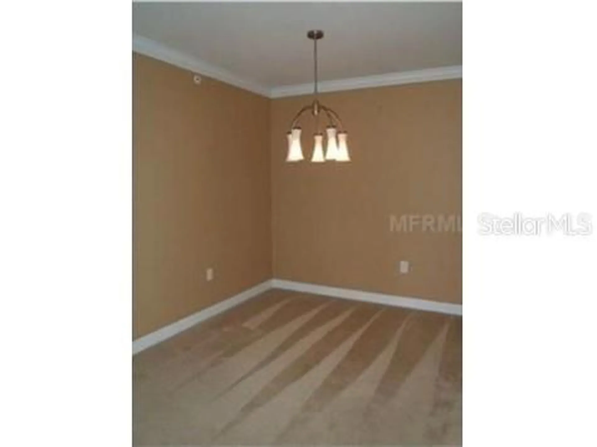 18318 Bridle Club Drive Tampa FL 33647