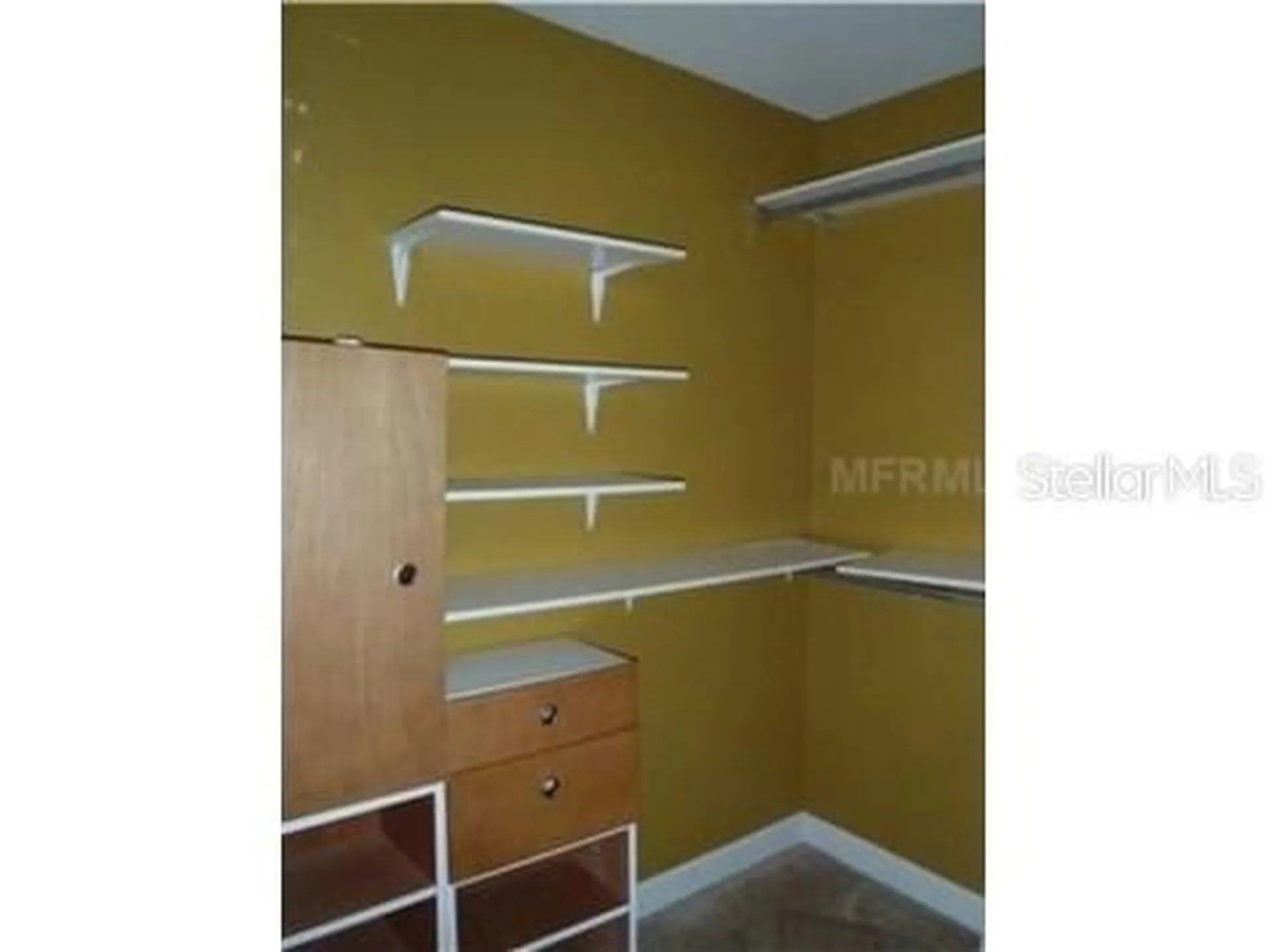 18318 Bridle Club Drive Tampa FL 33647