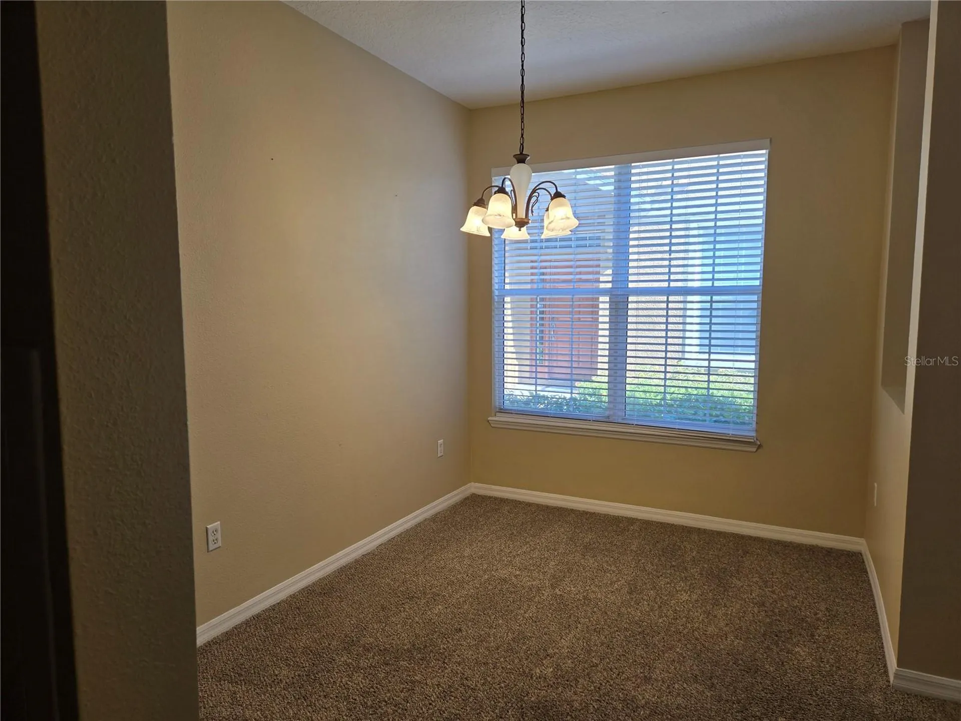 6752 Eagle Feather Drive Riverview FL 33578