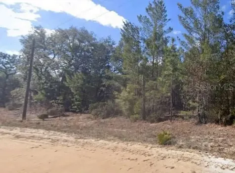 Unassigned Road Interlachen FL 32148