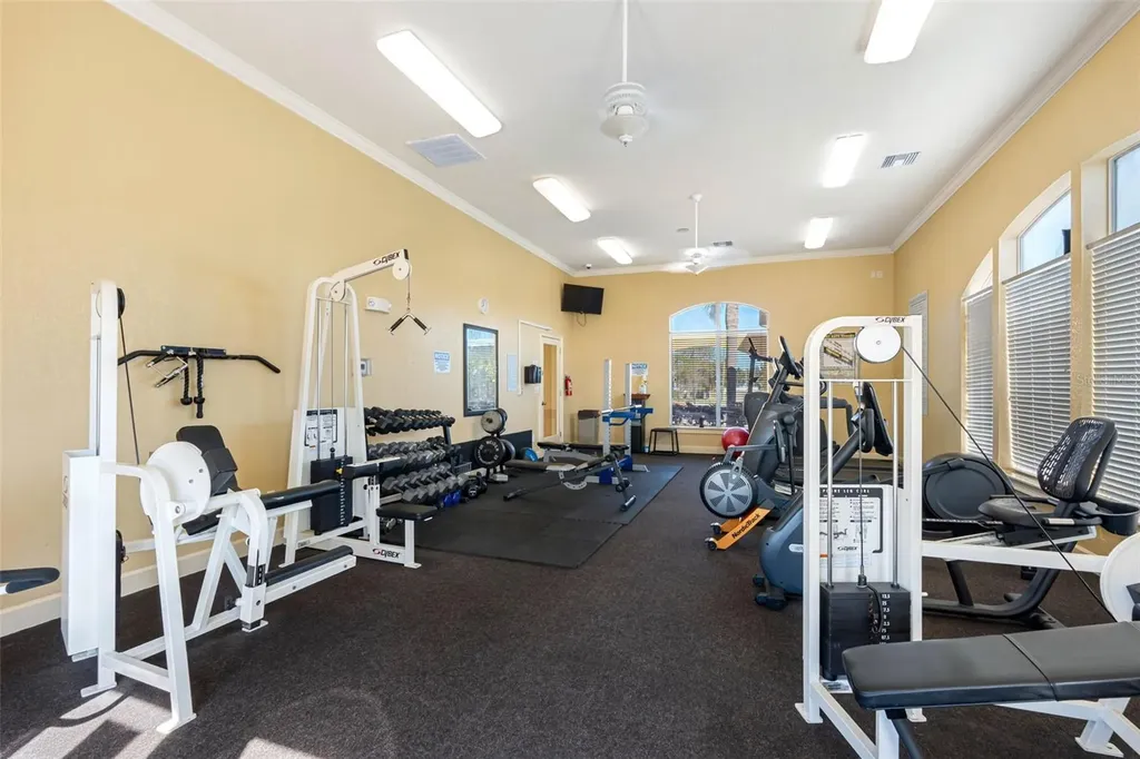 4343 Bayside Village Drive Tampa FL 33615