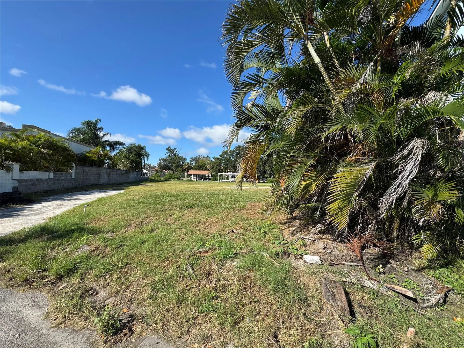 8719 Driftwood Drive Tampa FL 33615