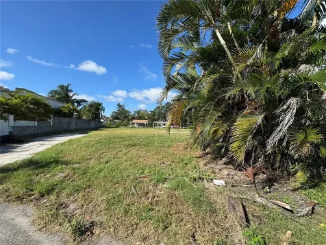 8719 Driftwood Drive Tampa FL 33615