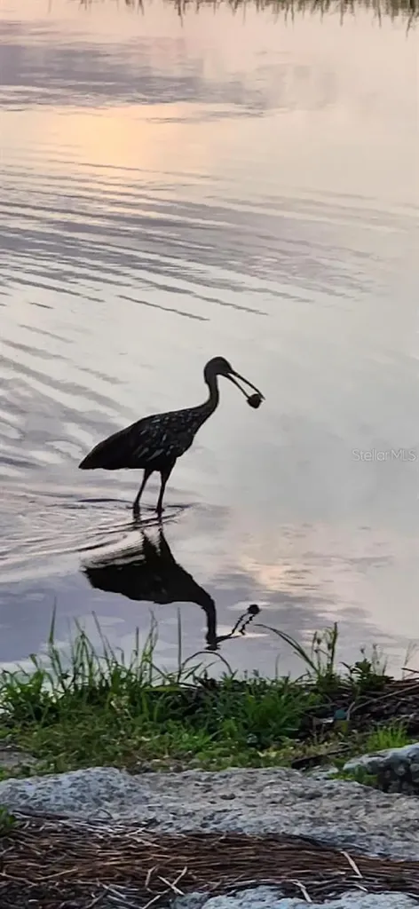 3018 Mark Lane Lake Wales FL 33898