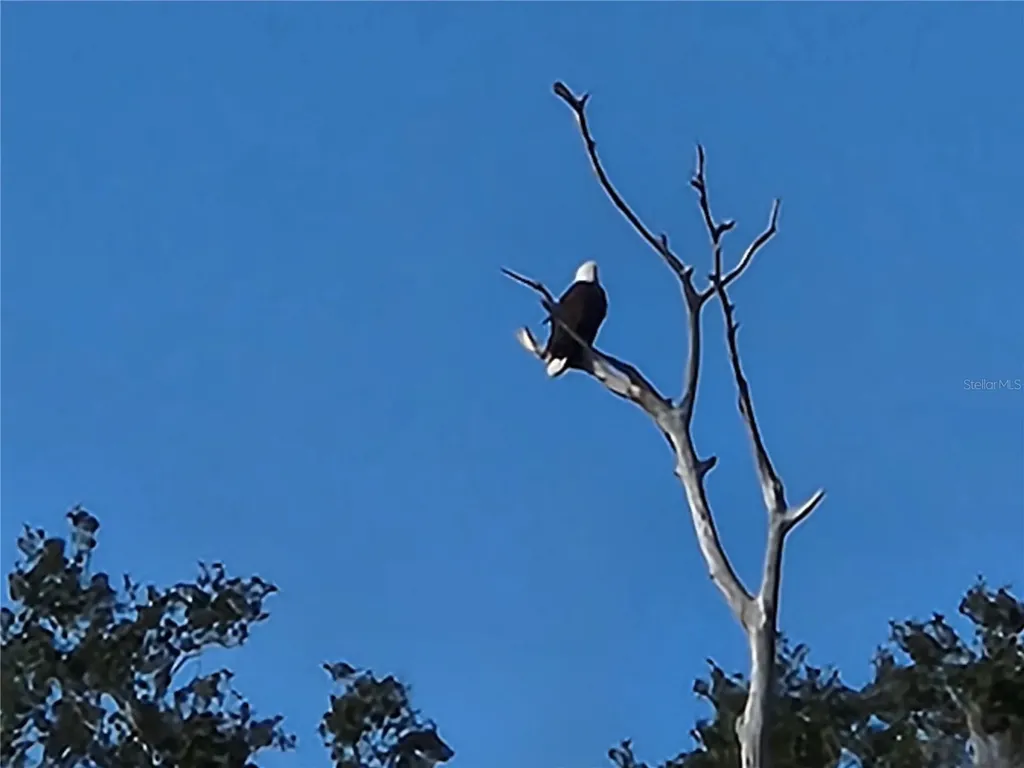 3018 Mark Lane Lake Wales FL 33898