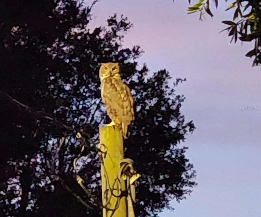 3018 Mark Lane Lake Wales FL 33898