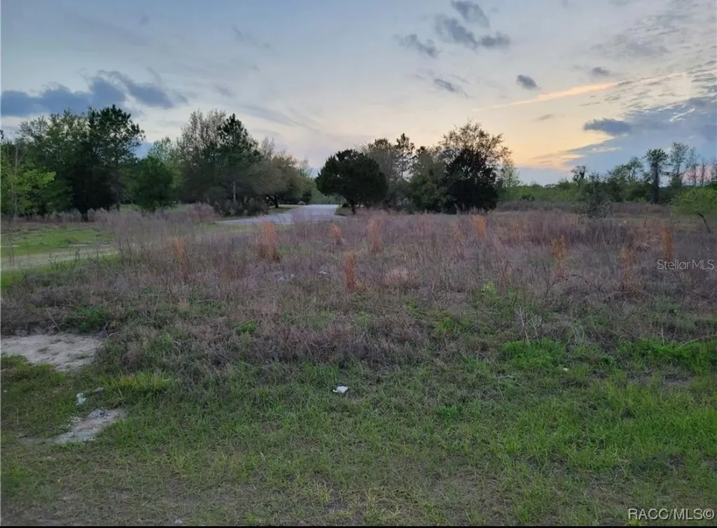 702 E. Sequoia Place Flat Citrus Springs FL 34434