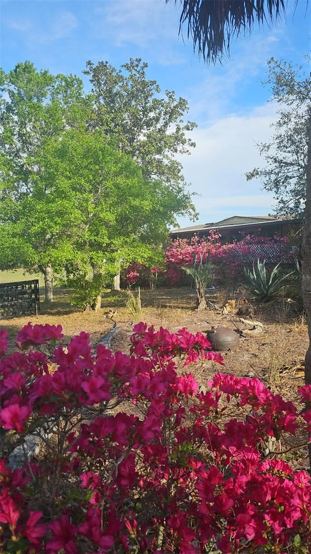 470 Fay Avenue Spring Hill FL 34609