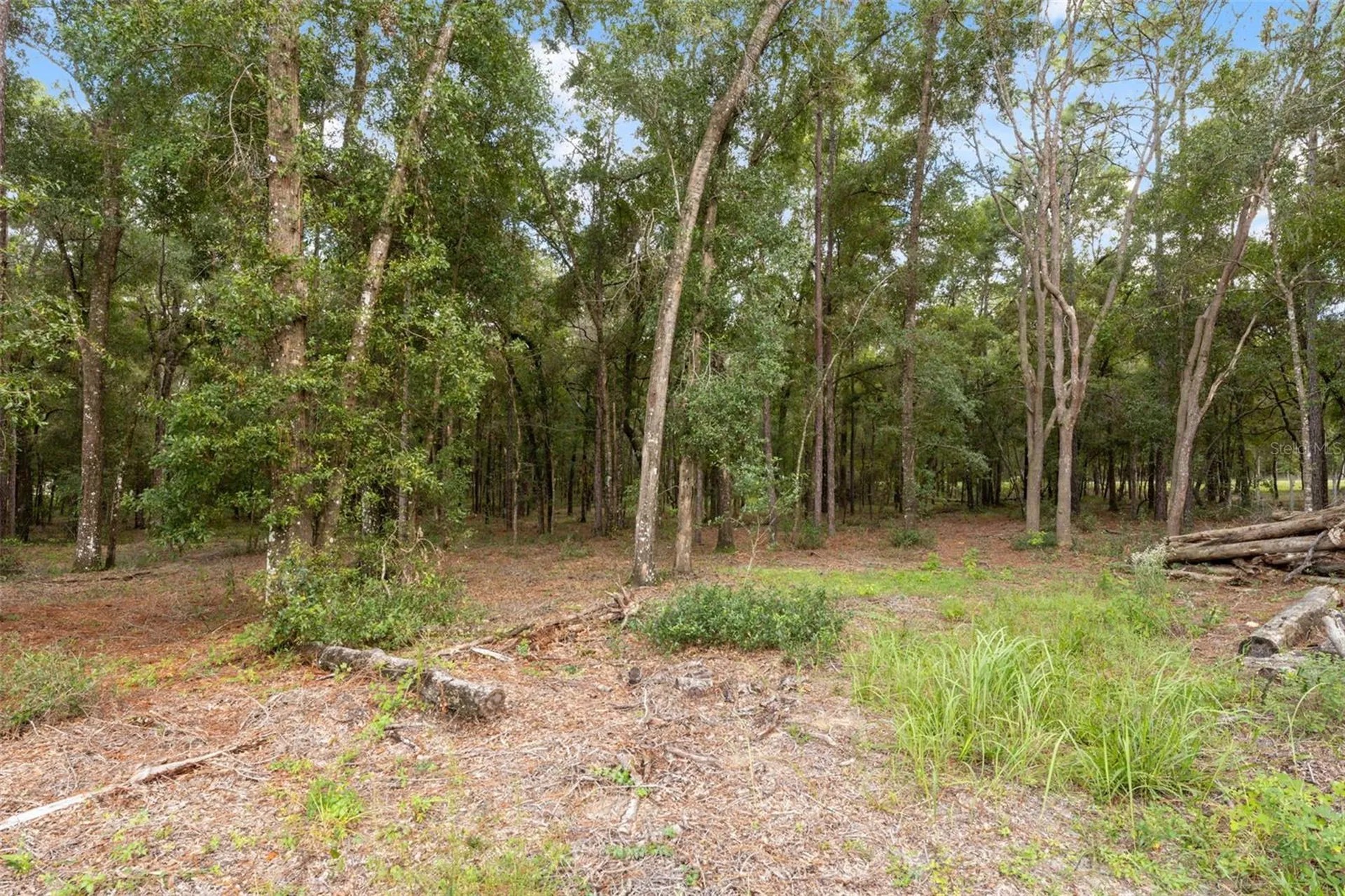 16481 Oakview Drive Brooksville FL 34601