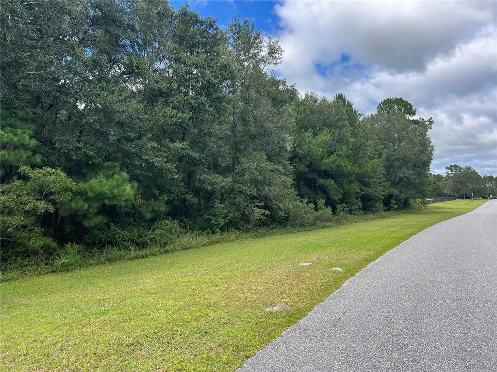 Tbd NW 145th Avenue Williston FL 32696