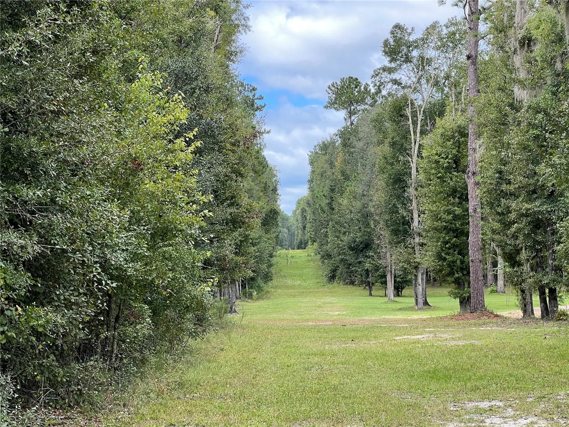Tbd NW 145th Avenue Williston FL 32696