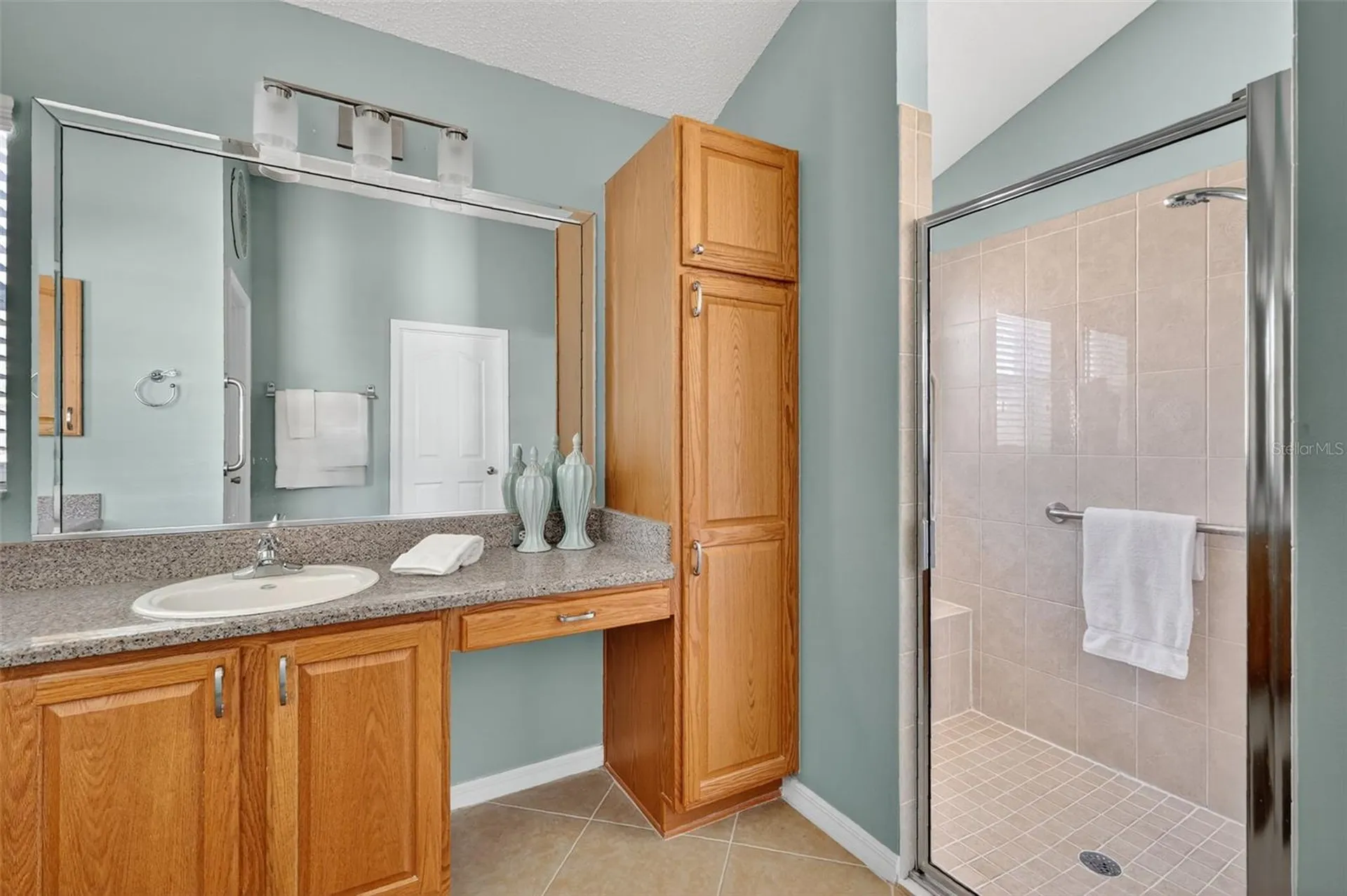 17285 SE 85th Willowick Circle The Villages FL 32162