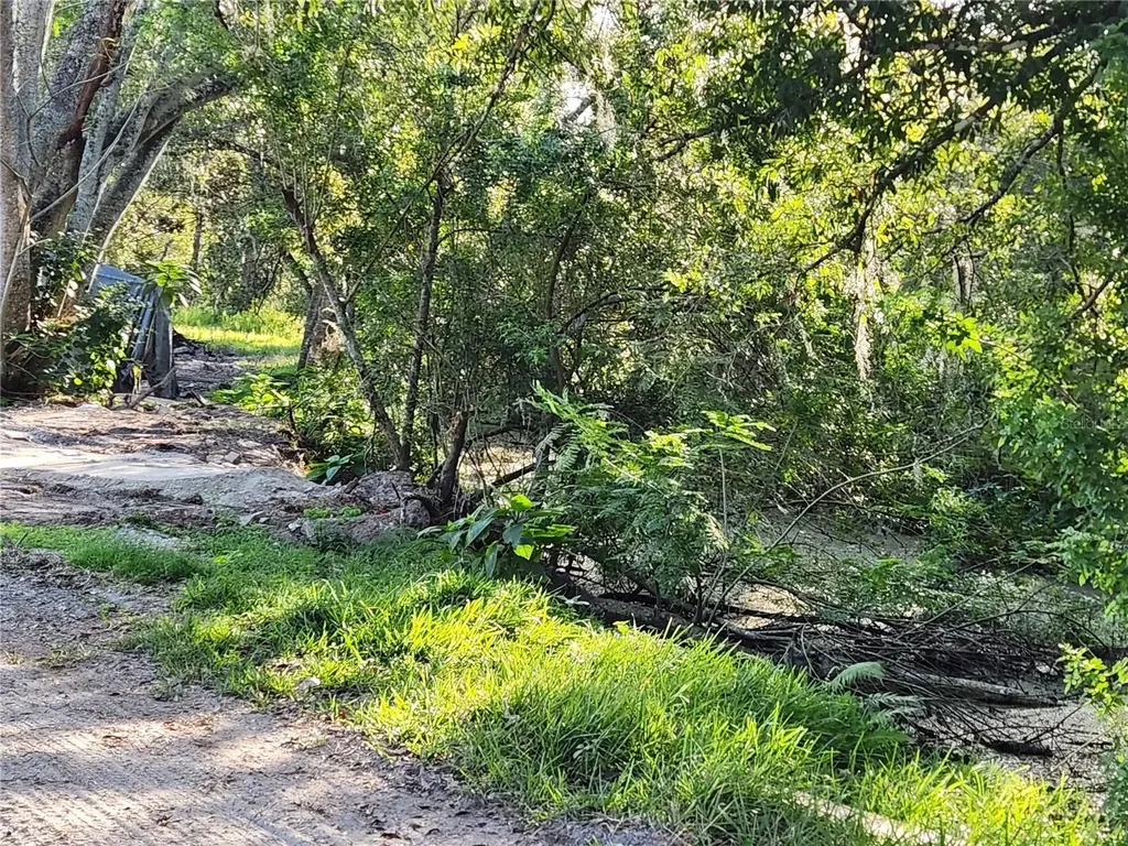 2608 20 Mile Level Road Land O Lakes FL 34639
