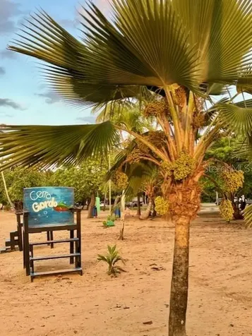Grand Palm Ii Casa F-15 Calle Ceiba Vega Alta PR 00692