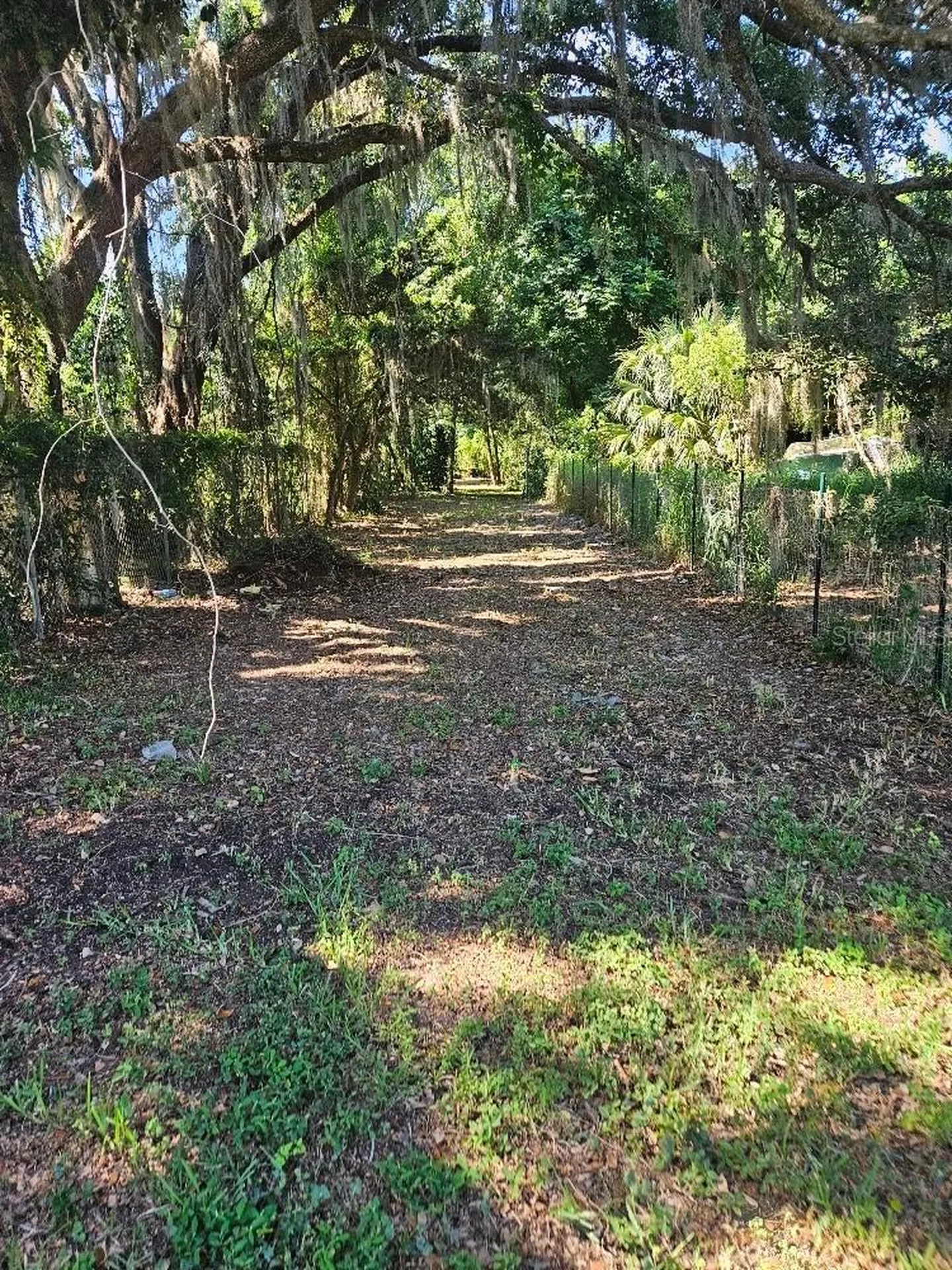 Private Drive Tavares FL 32778