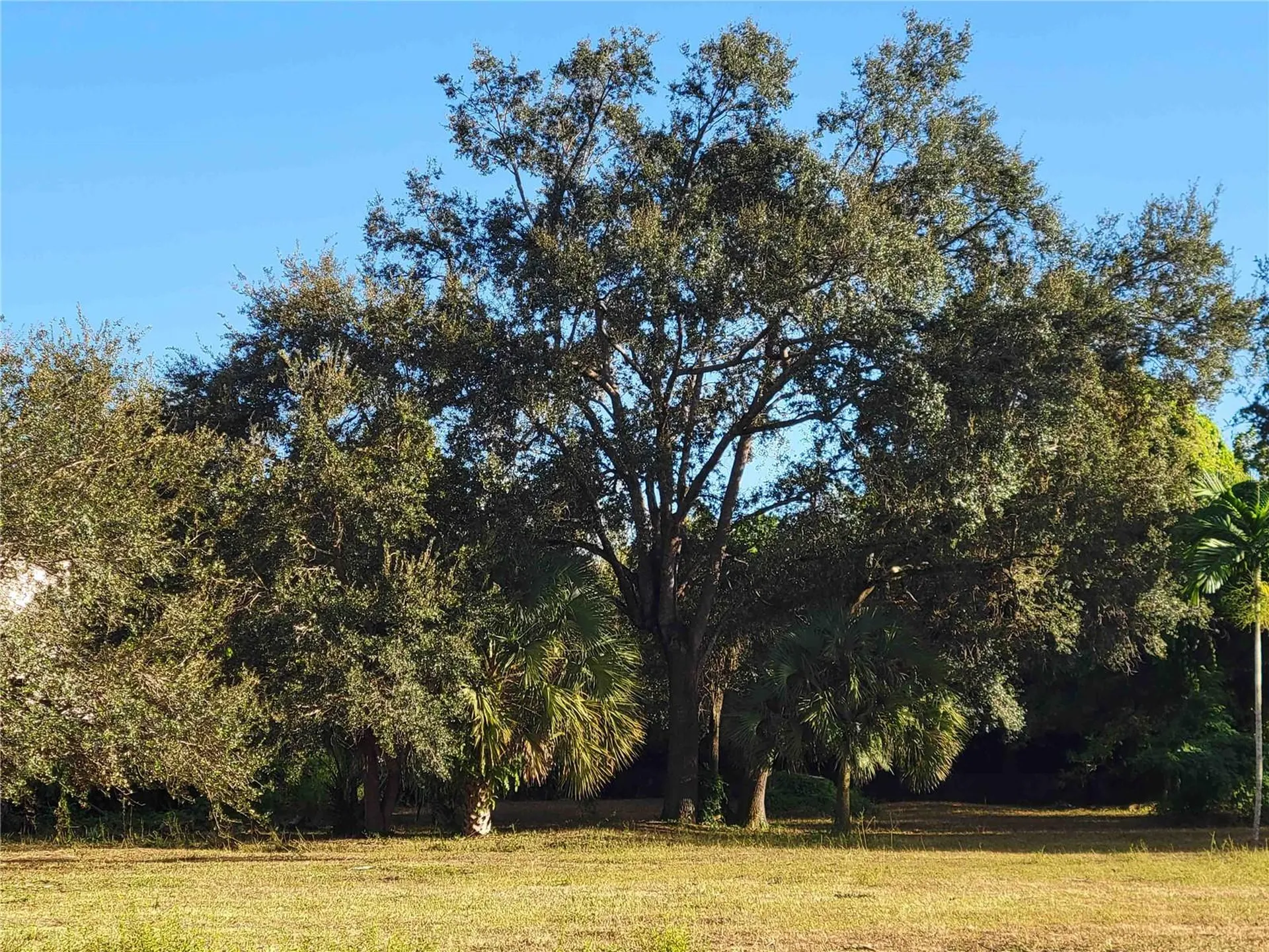 Tbd SW 93rd Street Miami FL 33176