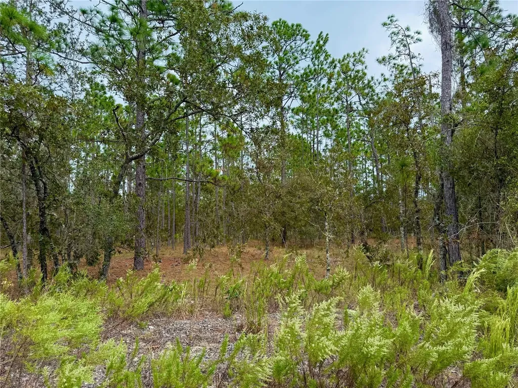 0 NW Alvarez Road Dunnellon FL 34431