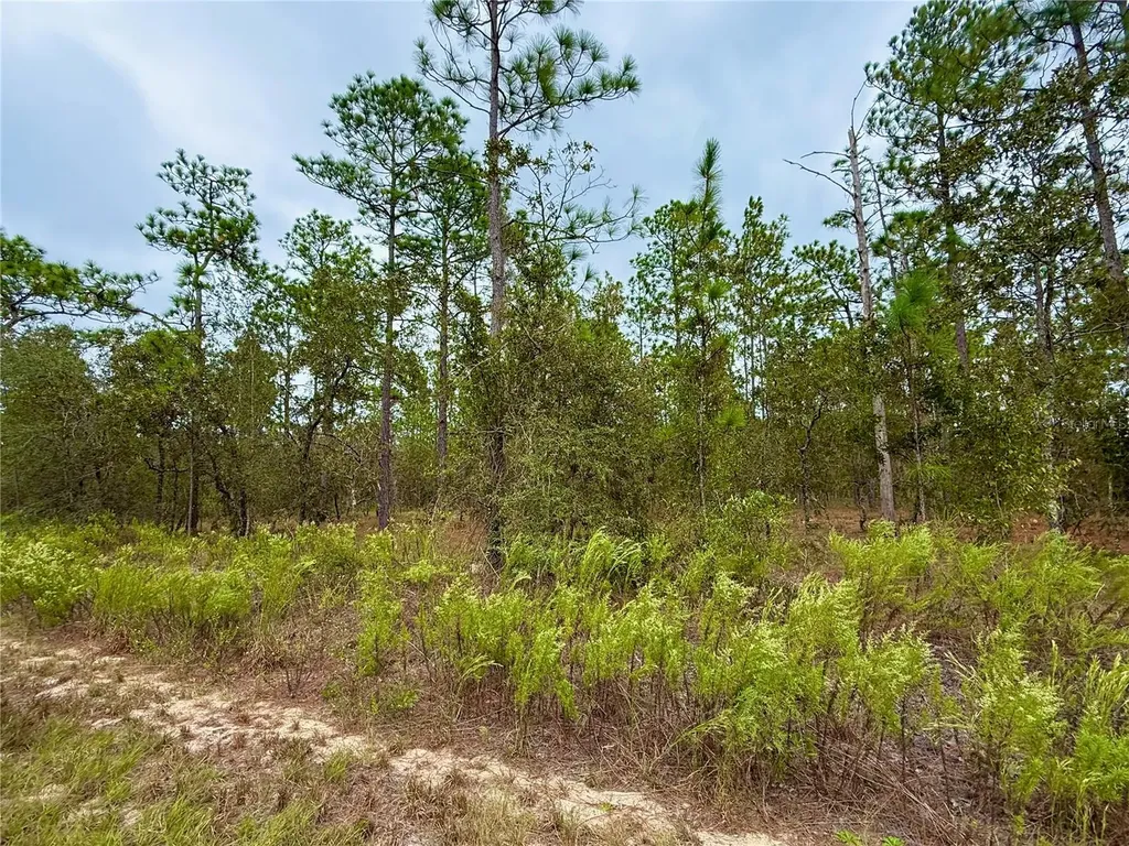 0 NW Alvarez Road Dunnellon FL 34431