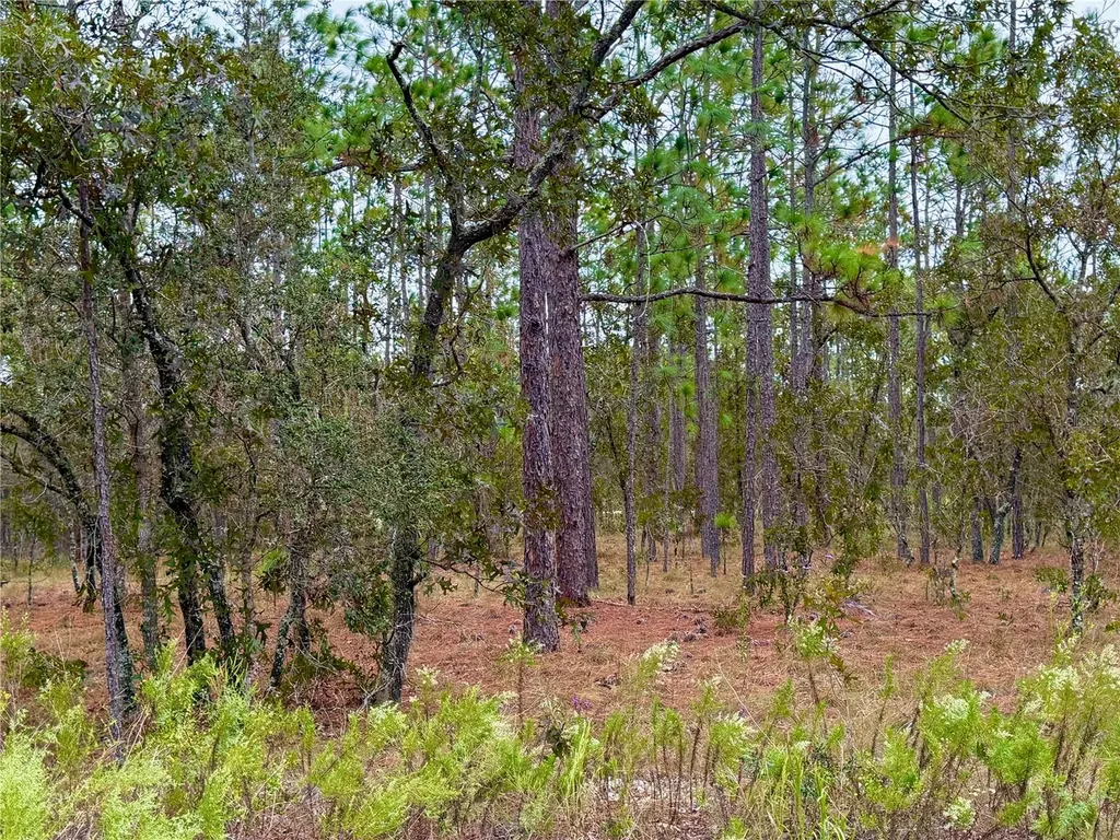 0 NW Alvarez Road Dunnellon FL 34431