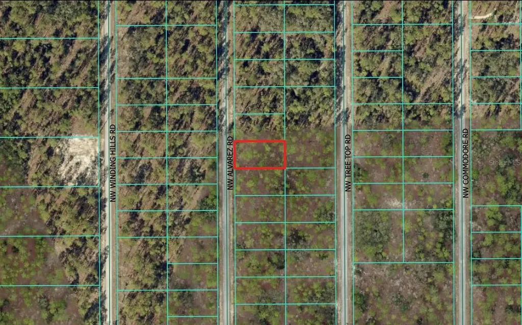 0 NW Alvarez Road Dunnellon FL 34431