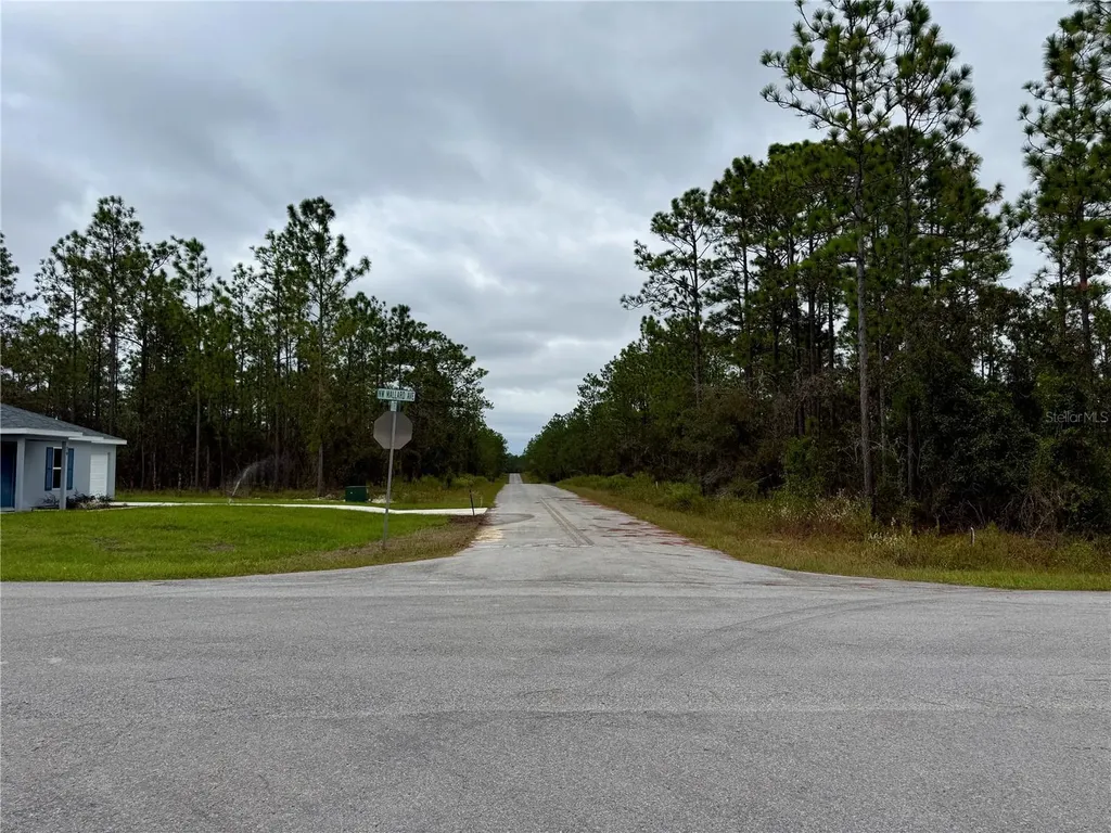 0 NW Alvarez Road Dunnellon FL 34431