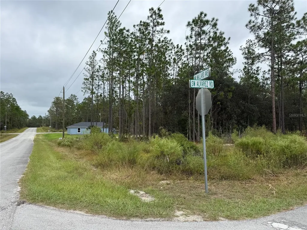 0 NW Alvarez Road Dunnellon FL 34431