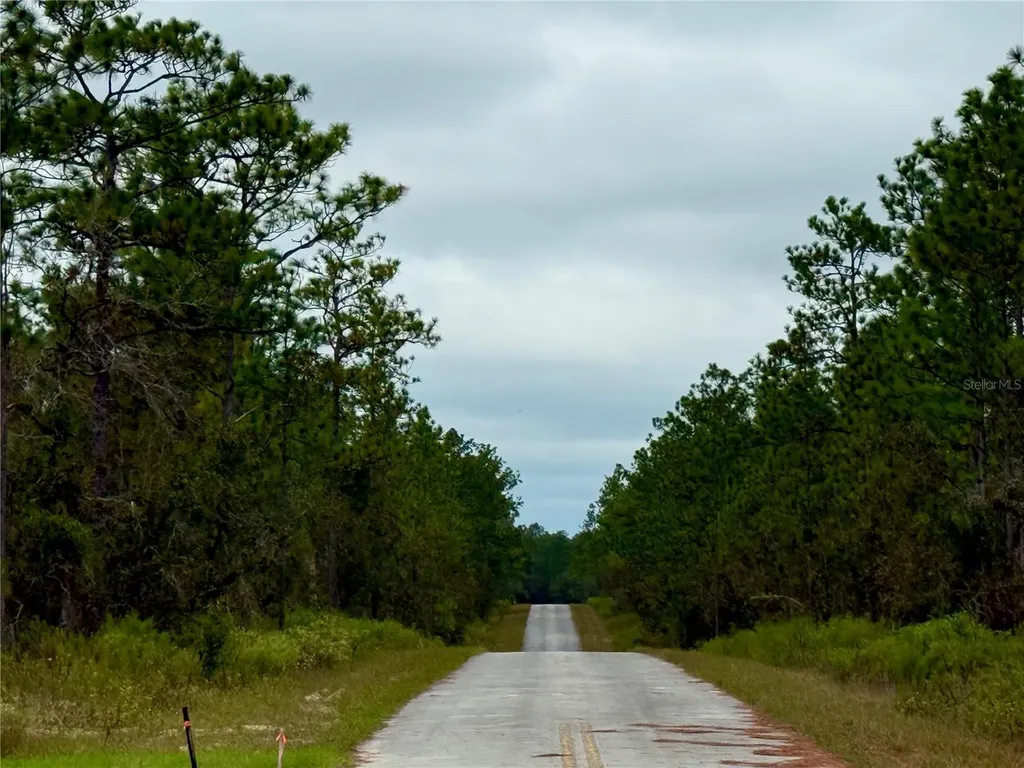 0 NW Alvarez Road Dunnellon FL 34431
