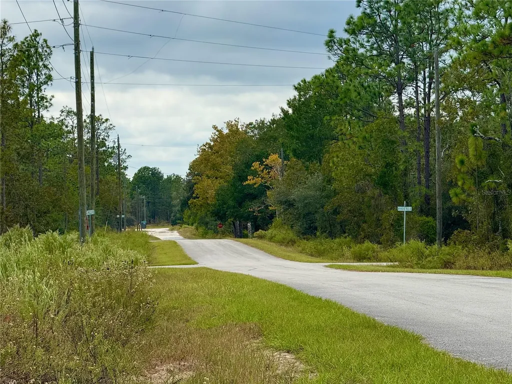 0 NW Alvarez Road Dunnellon FL 34431