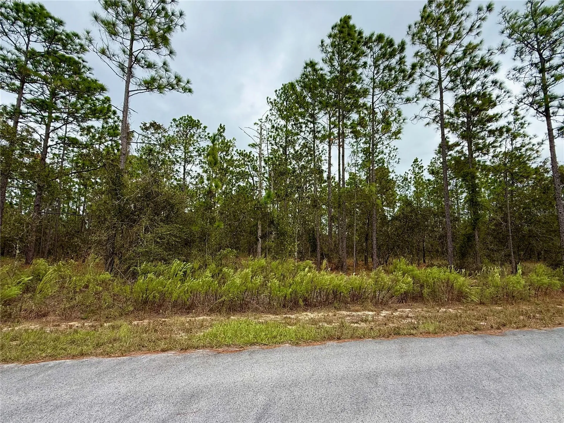 0 NW Alvarez Road Dunnellon FL 34431