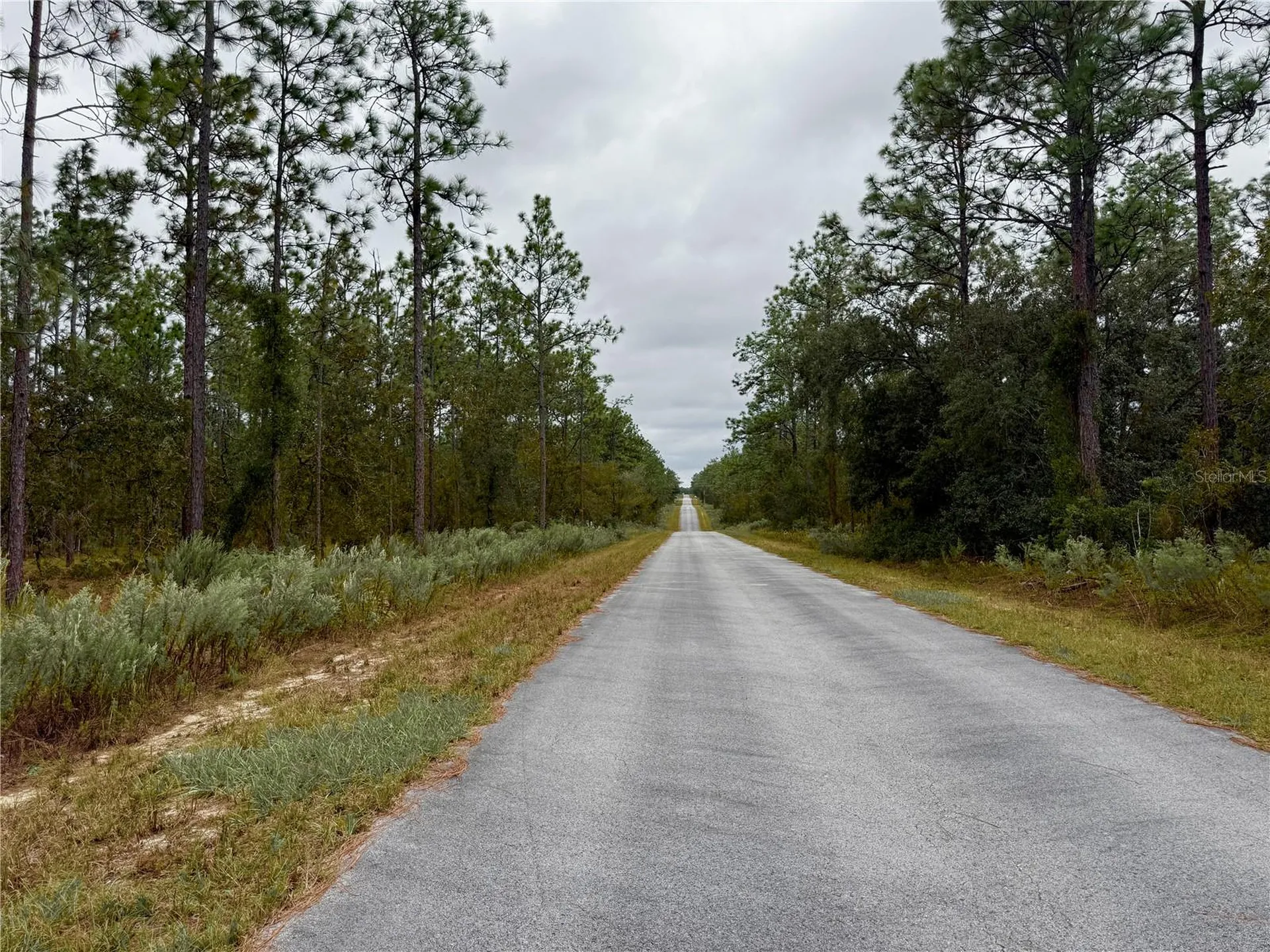 0 NW Alvarez Road Dunnellon FL 34431