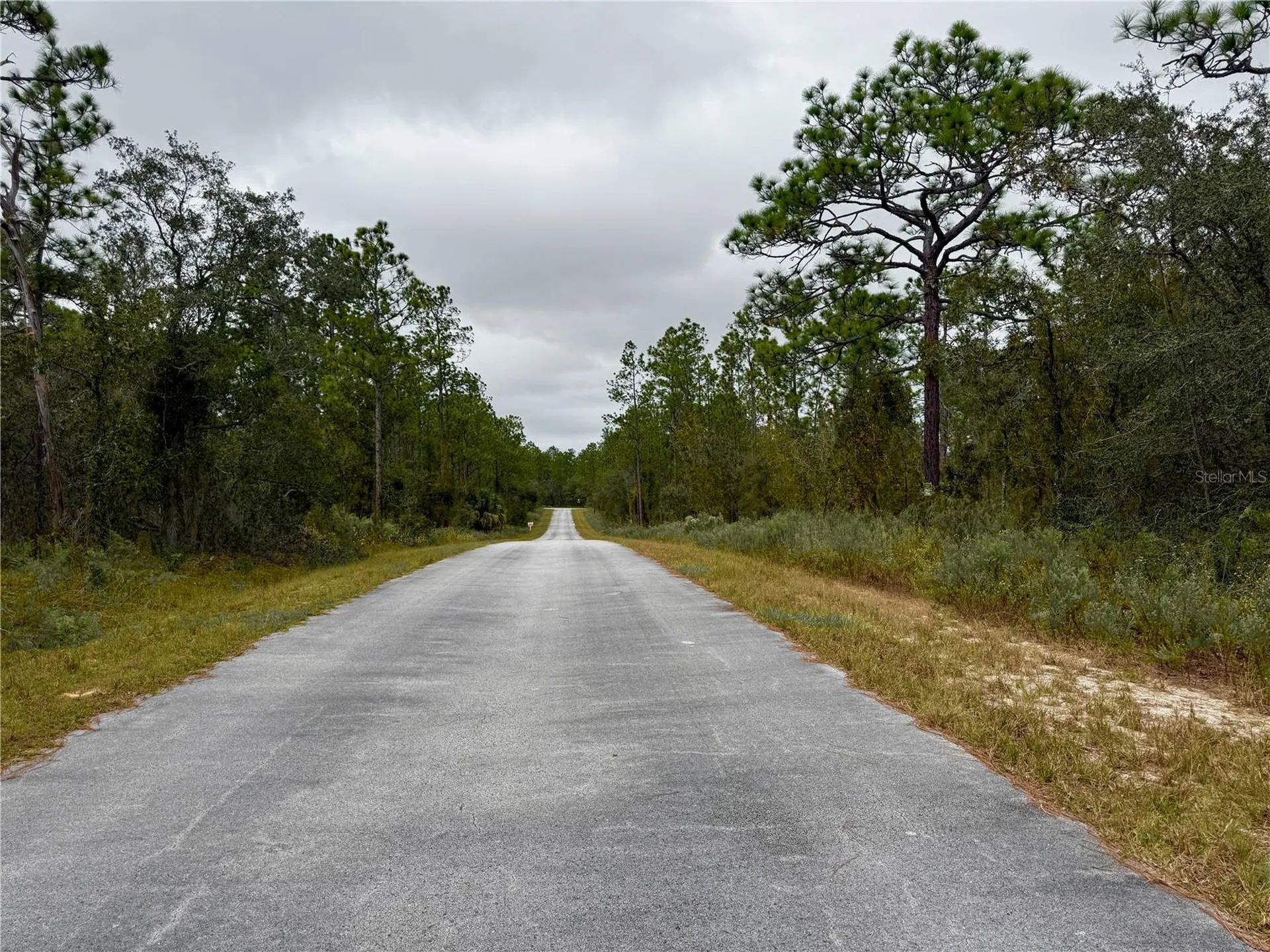 0 NW Alvarez Road Dunnellon FL 34431