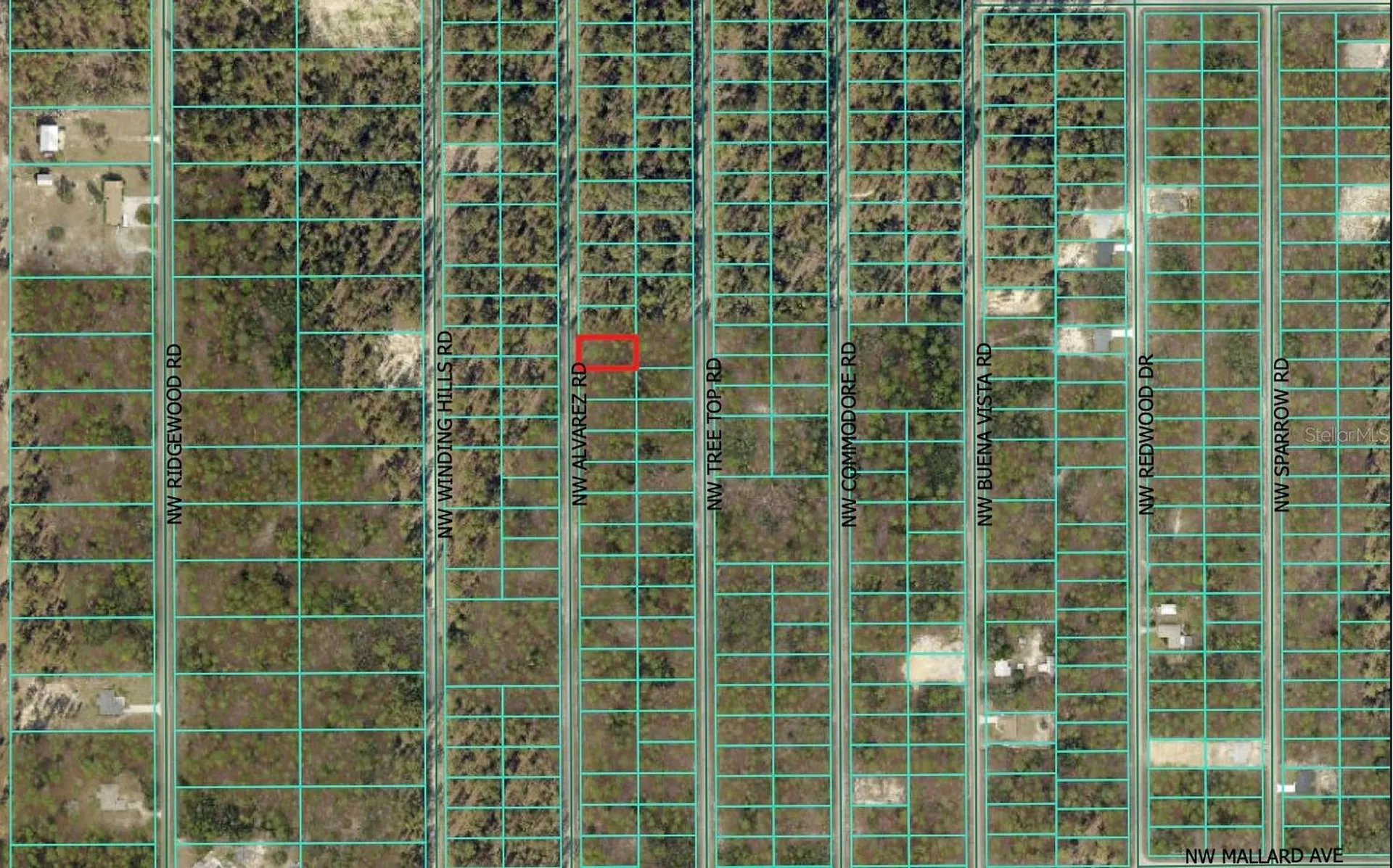 0 NW Alvarez Road Dunnellon FL 34431